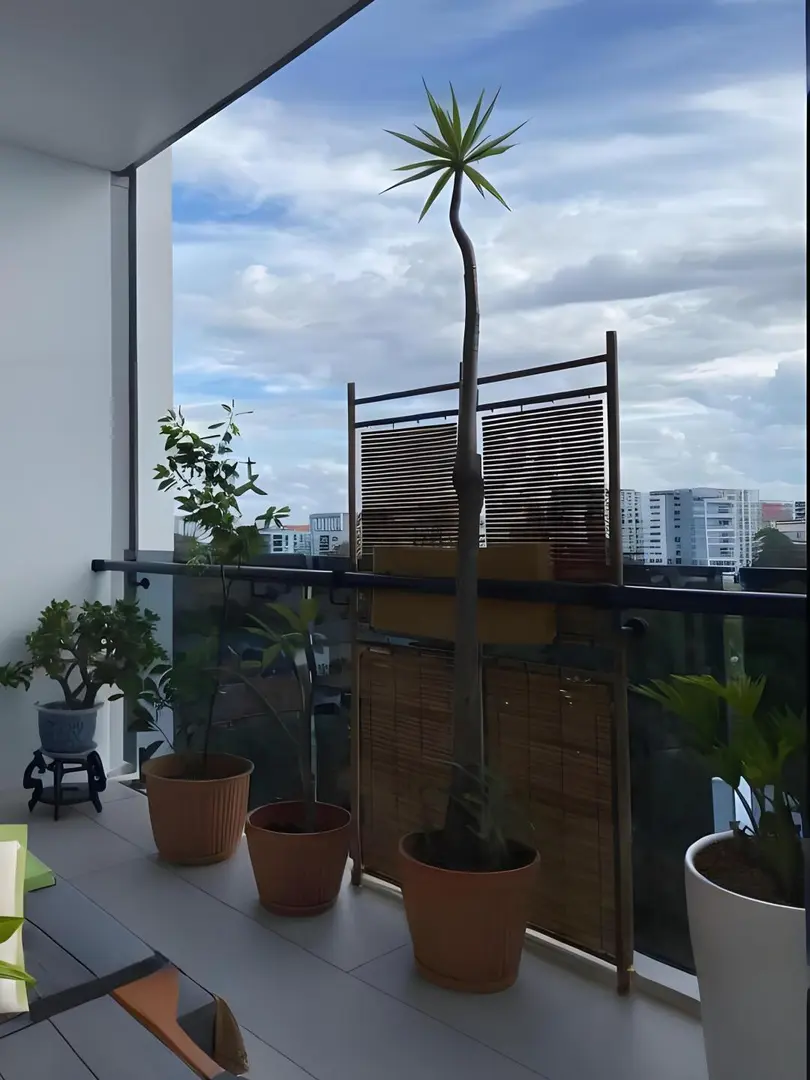 26s1｜UNSW步行到校1b1b‼️帶陽台