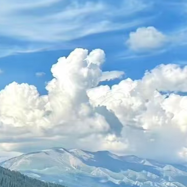 貓本絕美窗景🌃｜26s1誰不喜歡這樣的家～