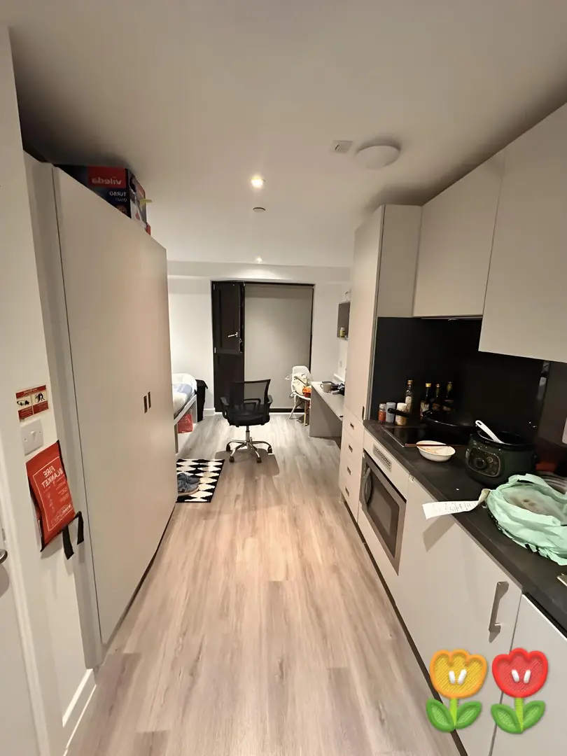 利茲25fall，2xx還帶洗衣機的studio包bill