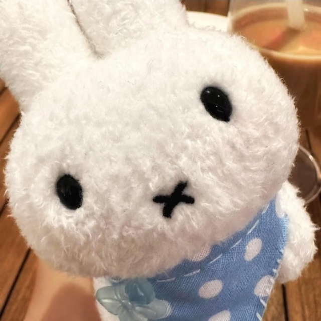 墨爾本！十二使徒岩！