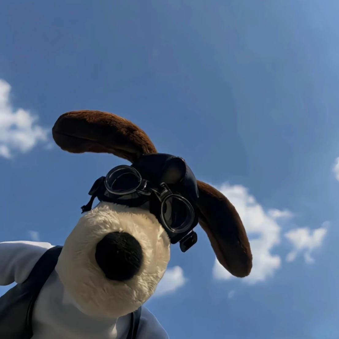 🦘吃🍂都這麼開心 ~