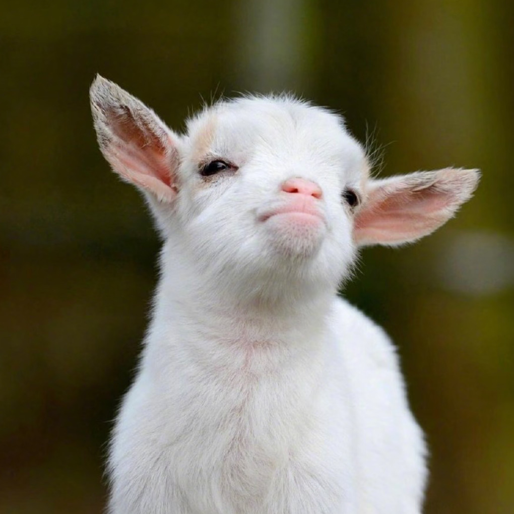 利茲帶獨立洗衣機的studio急轉，沒刪就還在