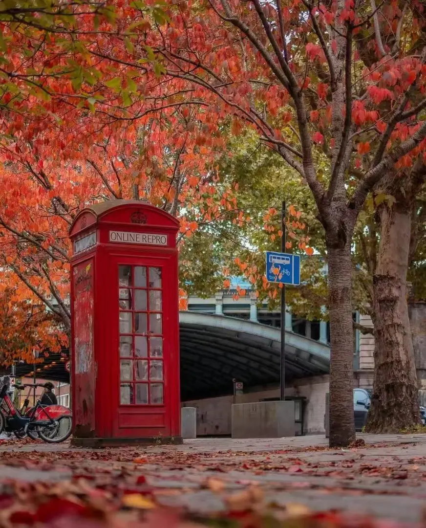 總要感受一次倫敦的秋天吧🍁 美到失語