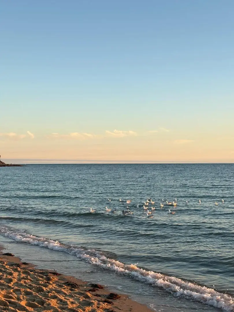 墨爾本攝影必去旅遊景點｜Brighton beach