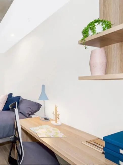 我趣！這個studio是來報恩的吧😭😭