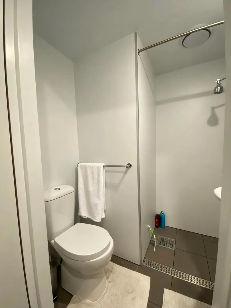 布里斯班UQ附近出低價的studio