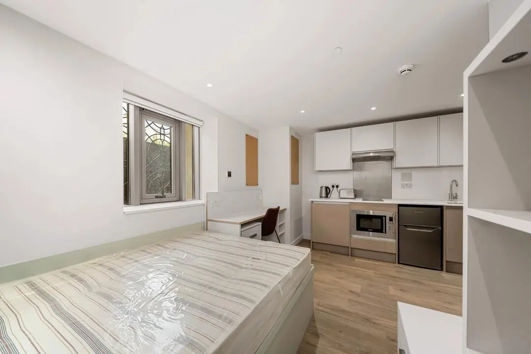 🔥布大留學生速搶！市中心絕美studio短租