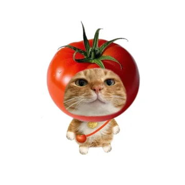 有沒有26s1去墨爾本rmit的寶子👀