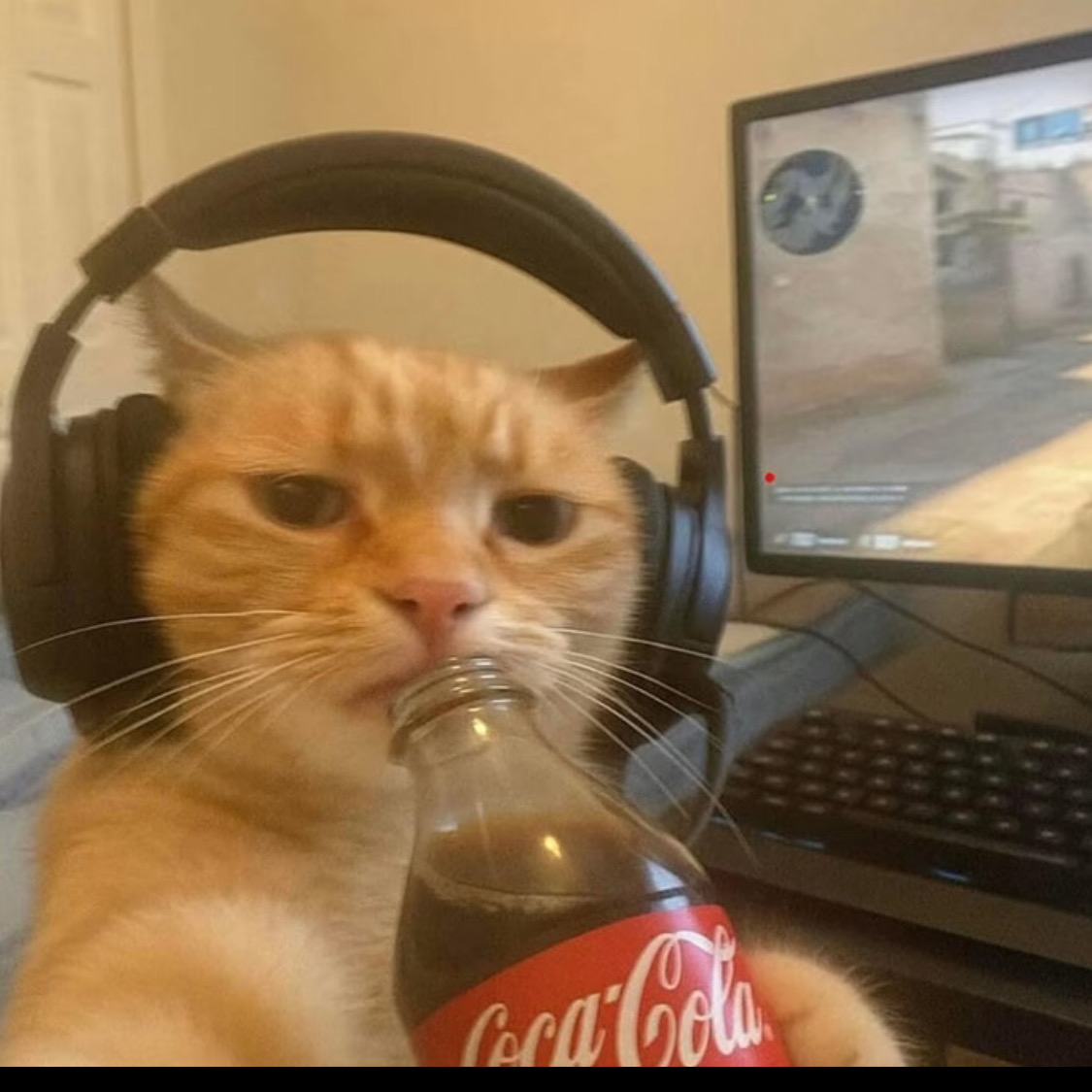 🏠倫敦1b小窩找下一任主人啦～