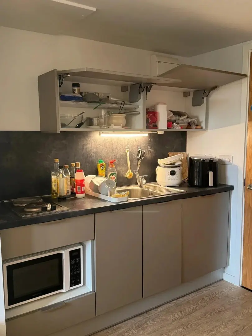 布里斯托studio，急➗只要250pw～