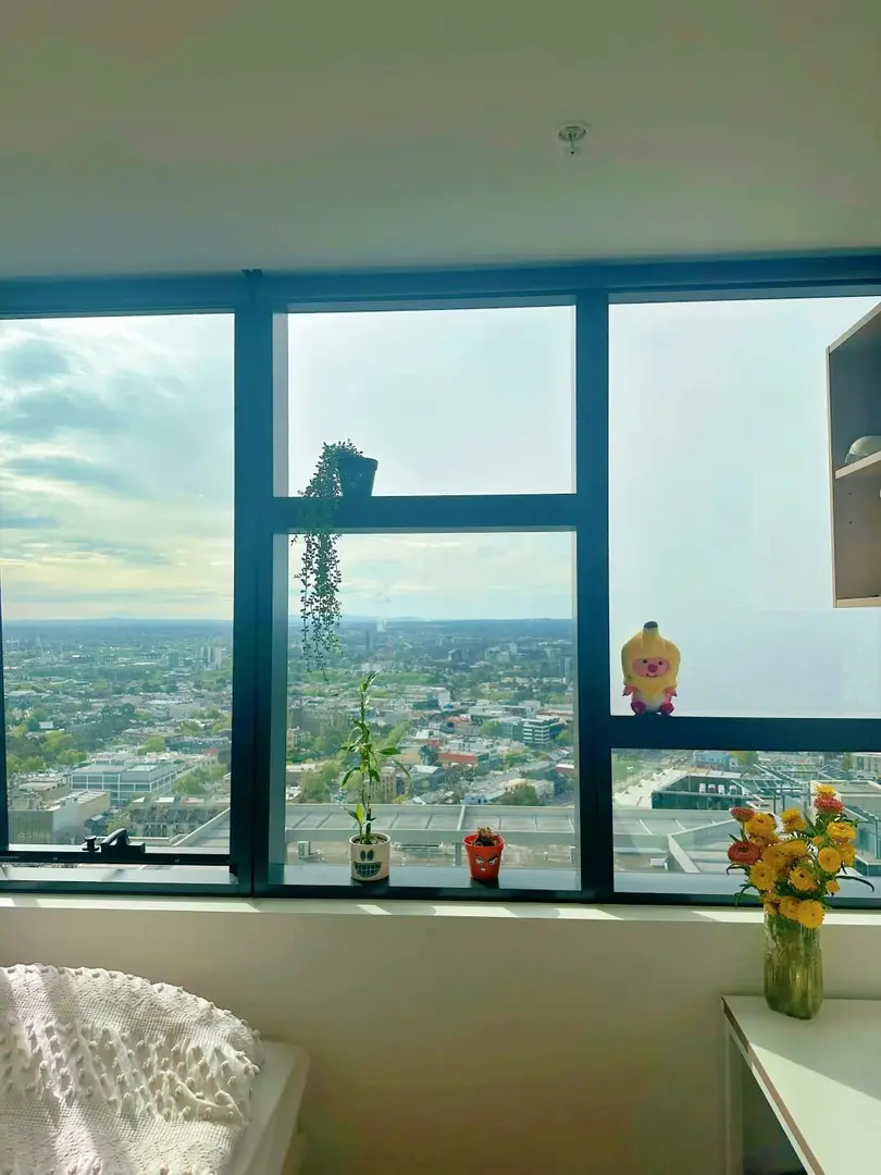 貓本|26年神仙公寓~