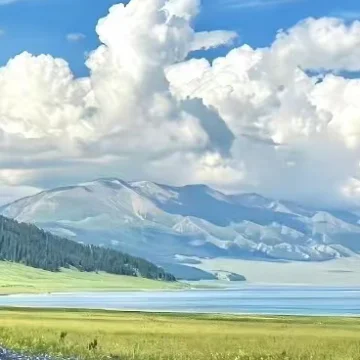 速來❗️雪梨新生抱團取暖！