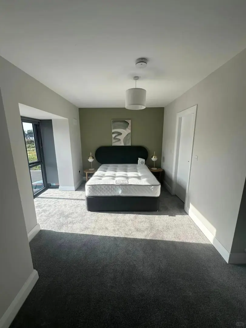 伯明罕蹲蹲室友｜25fall急❗️急❗️急❗️