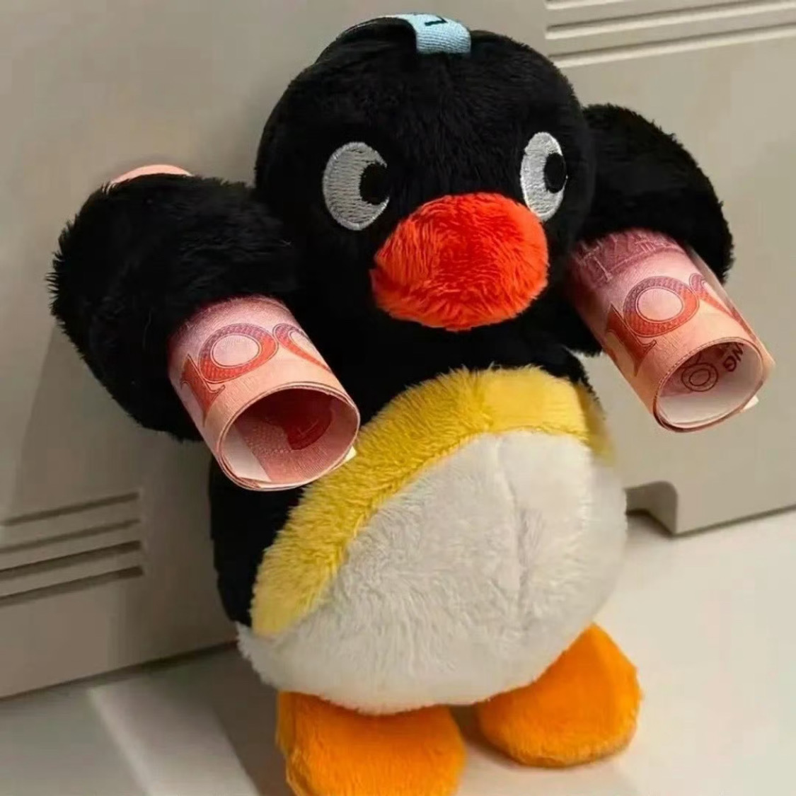 在布里斯班斯特德布魯克島看到的一幕