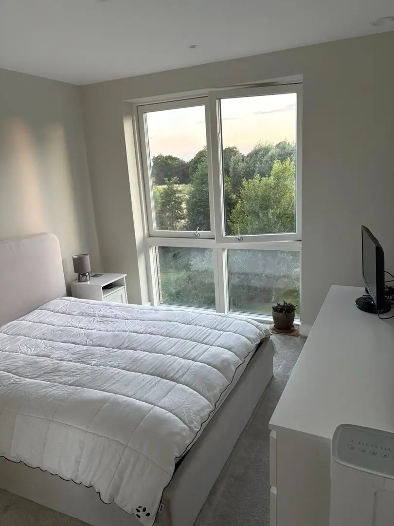 我在倫敦UCL有個房，找人照顧一下