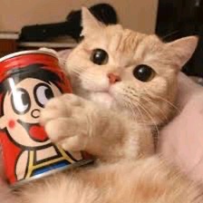 墨爾本26s1看過來好價studio｜近RMIT