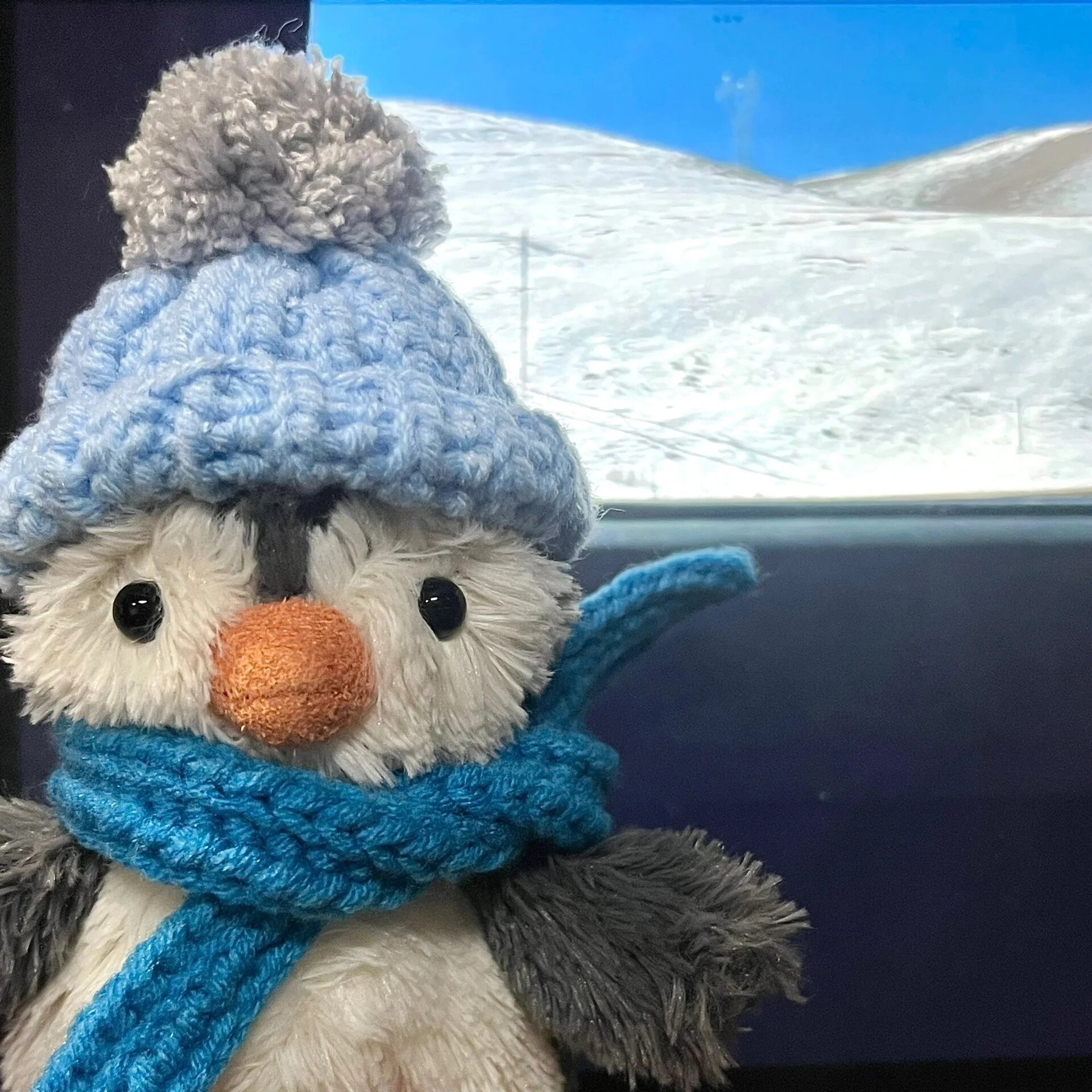 純乾貨｜🇬🇧倫敦jellycat店鋪全匯總