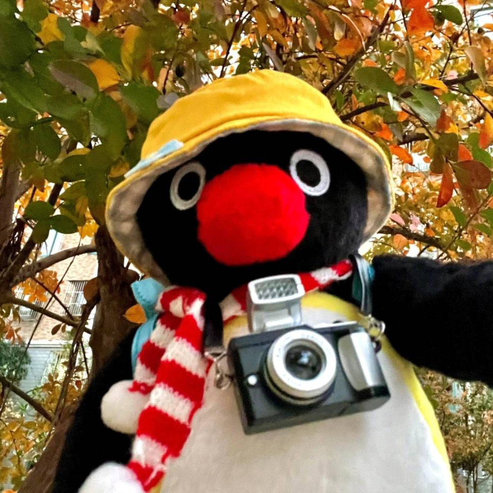 26s1墨爾本city拼室友｜花小錢辦大事