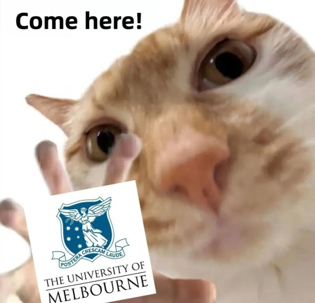 墨大26s1的朋友們，你們都收到offer了嘛