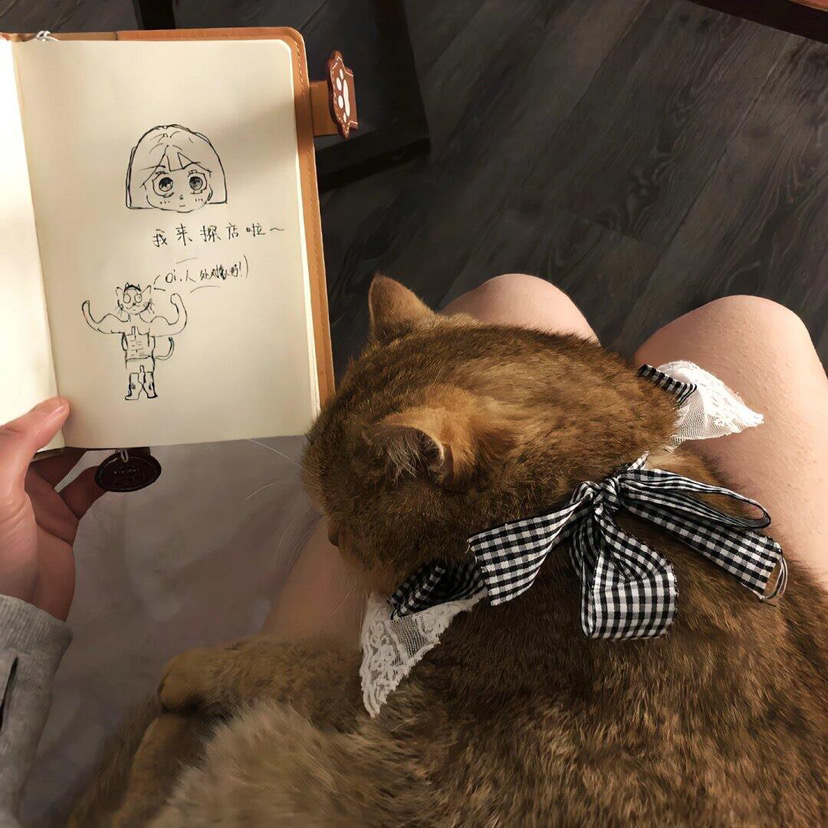 布里斯班1b1b帶陽台｜低價轉～｜長租優先