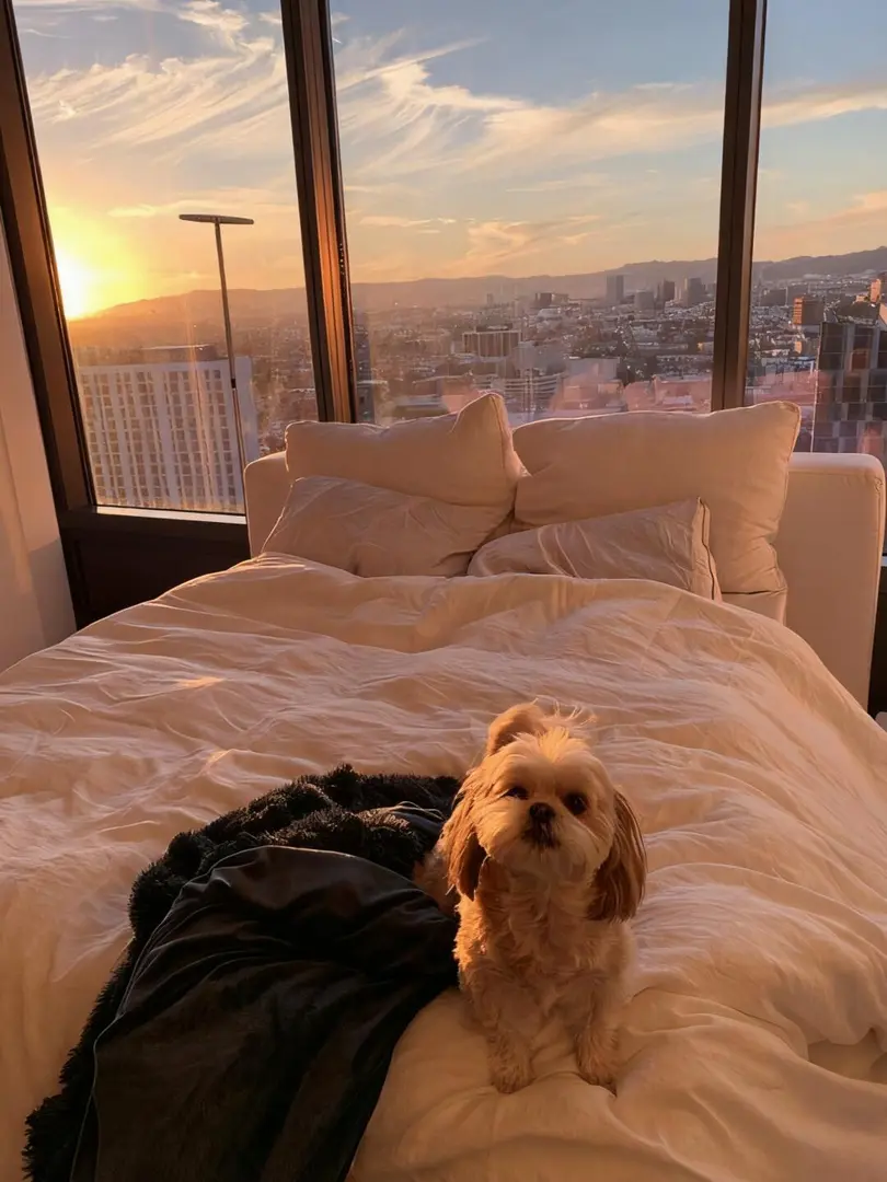 墨爾本➗1b1b，26s1帶家具住高層雲海里☁️