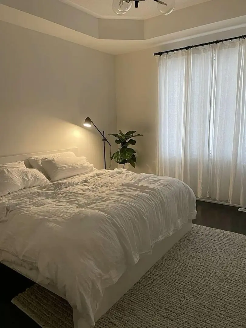 雪梨想11🈷️短租的寶，請住我家｜400ppw