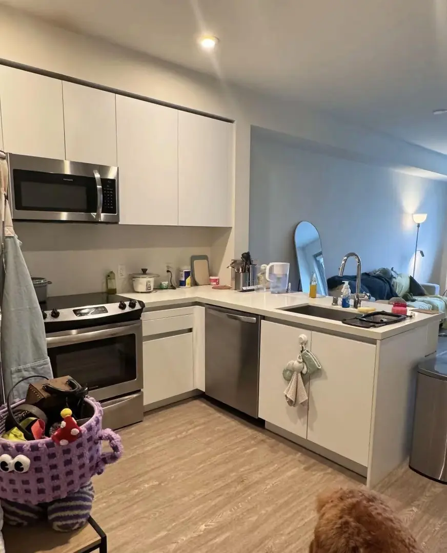 新南威爾斯｜1b1b好房推薦