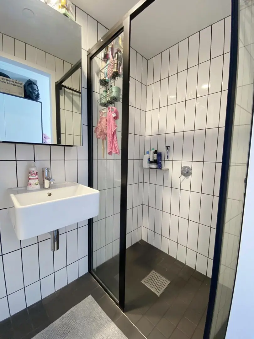 貓本 低價2b2b找租客｜26s1🉑️