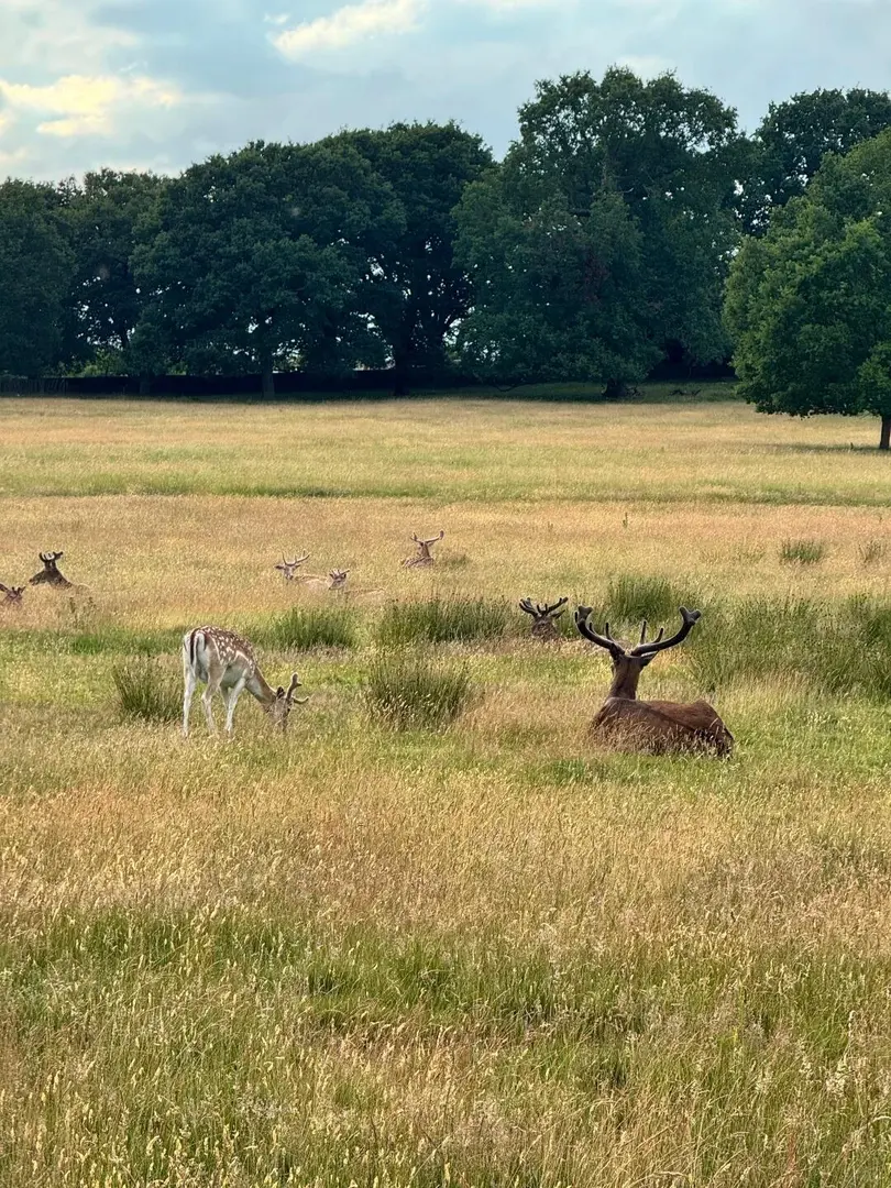 打卡諾丁漢必去景點： Wollaton Hall