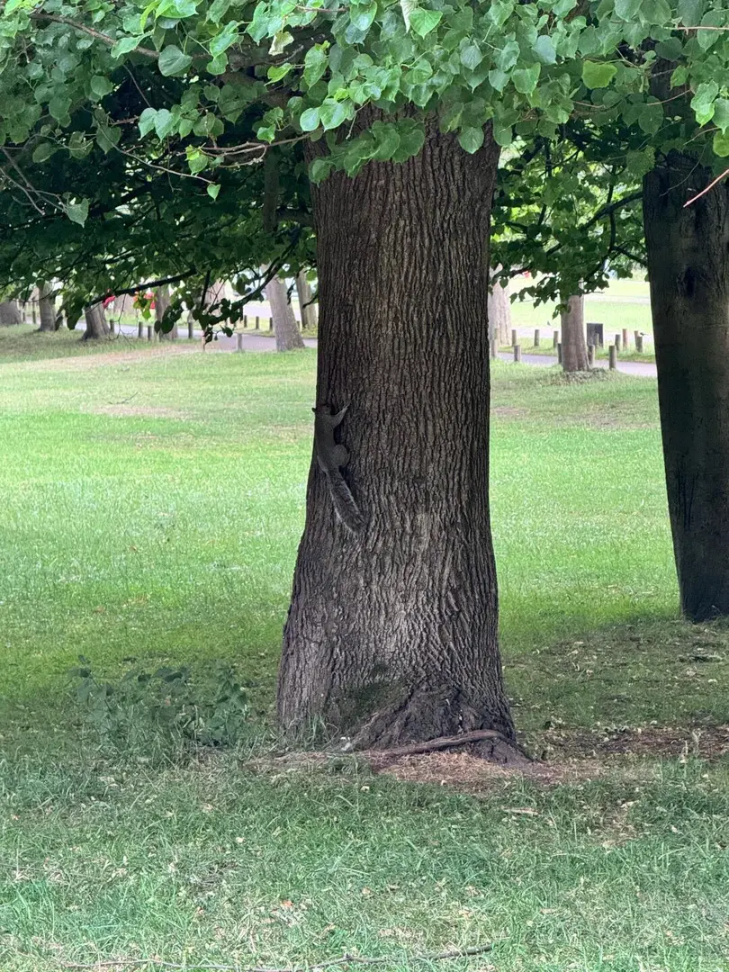 打卡諾丁漢必去景點： Wollaton Hall