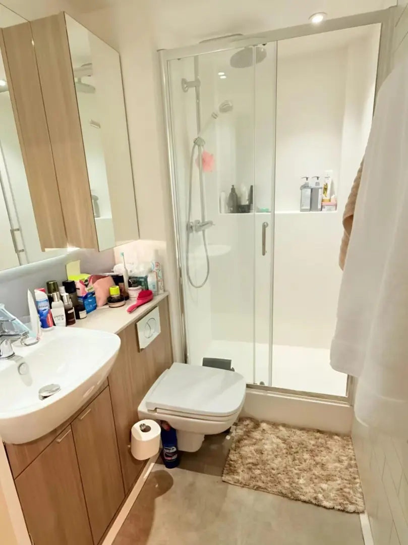 布里斯托 studio 急出！244pw 超低價！