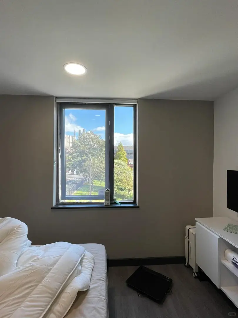 利茲留子就要住sycamore才有力氣上學🥰