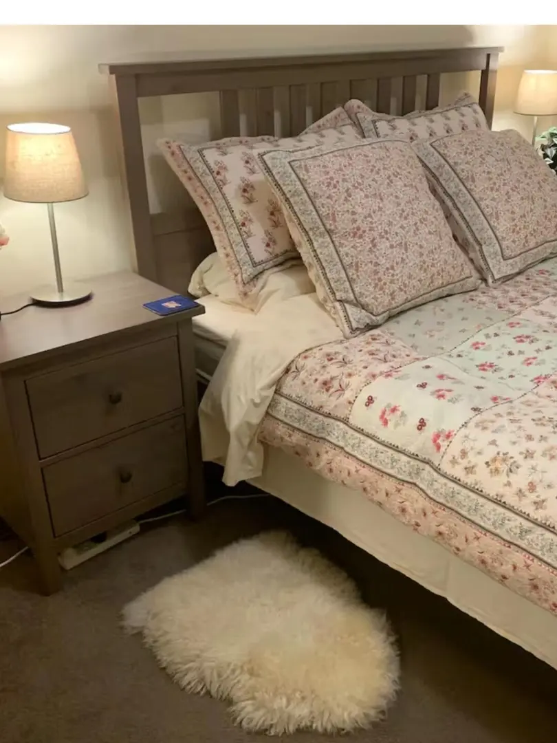 搬去和閨蜜住，給雪梨1b1b找主人～