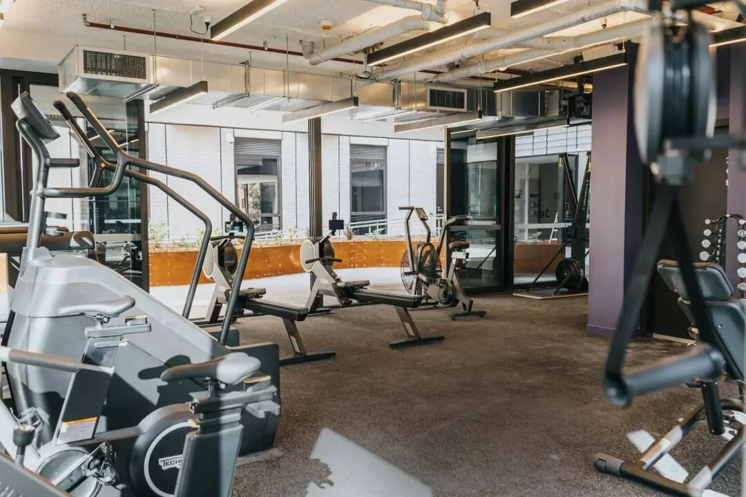 雪梨 26T1 步行到 unsw 的 studio