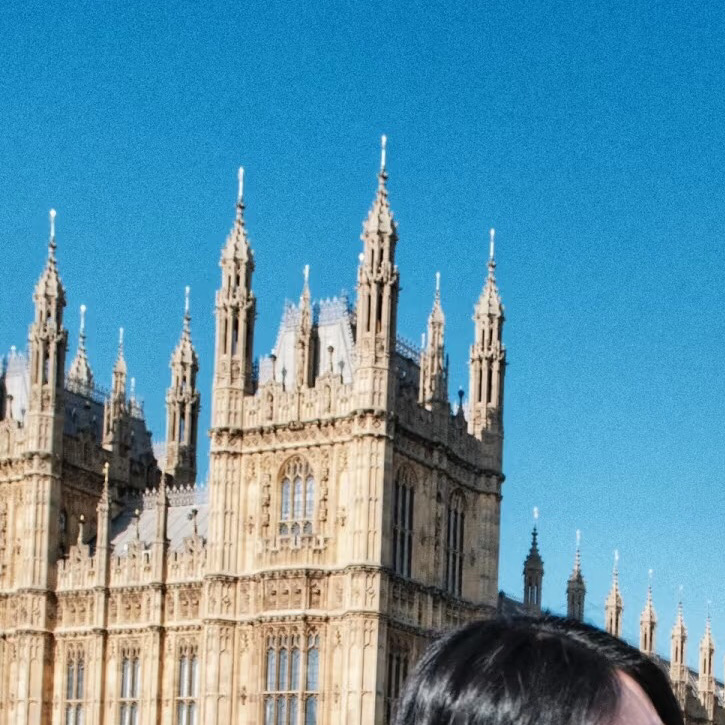 雪梨留子👗！新南 悉大dd