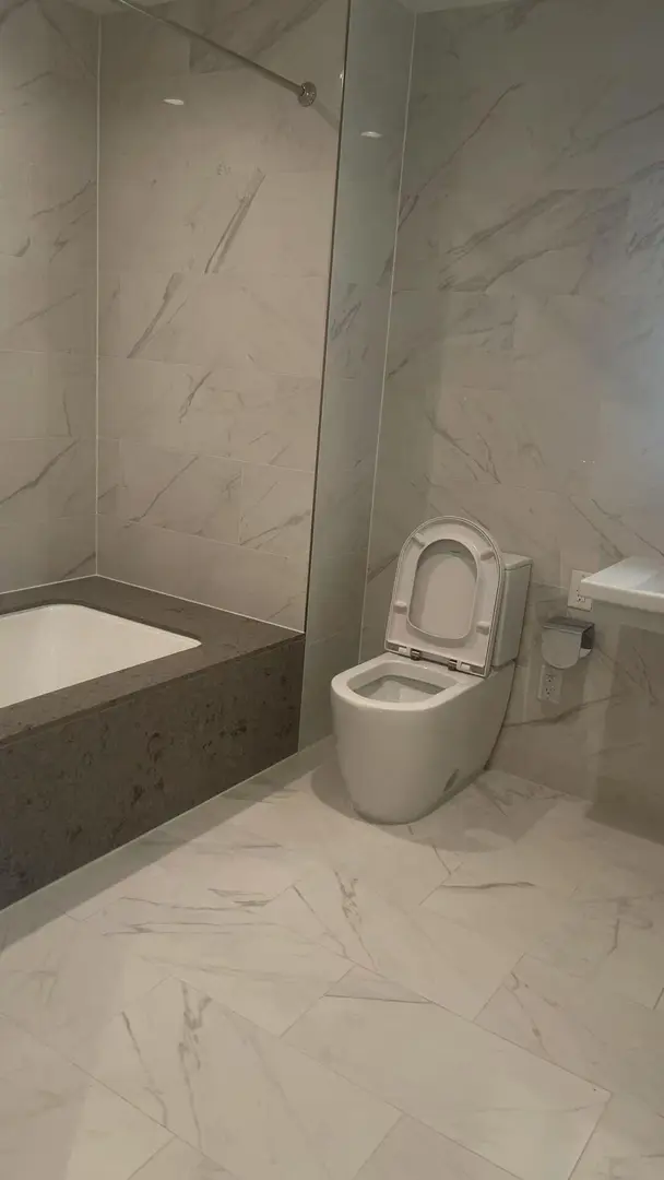 洛杉磯DT🇺🇸精緻大開間（急轉）