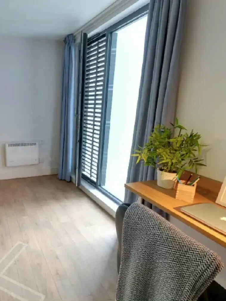 布萊頓🌊薩塞克斯大學 大落地窗studio~