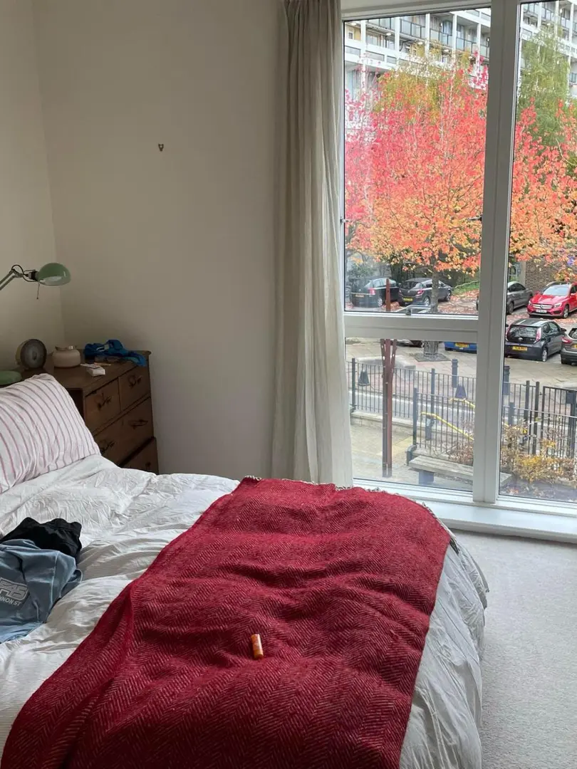 急轉｜倫敦300pw｜2b2b寵物友好