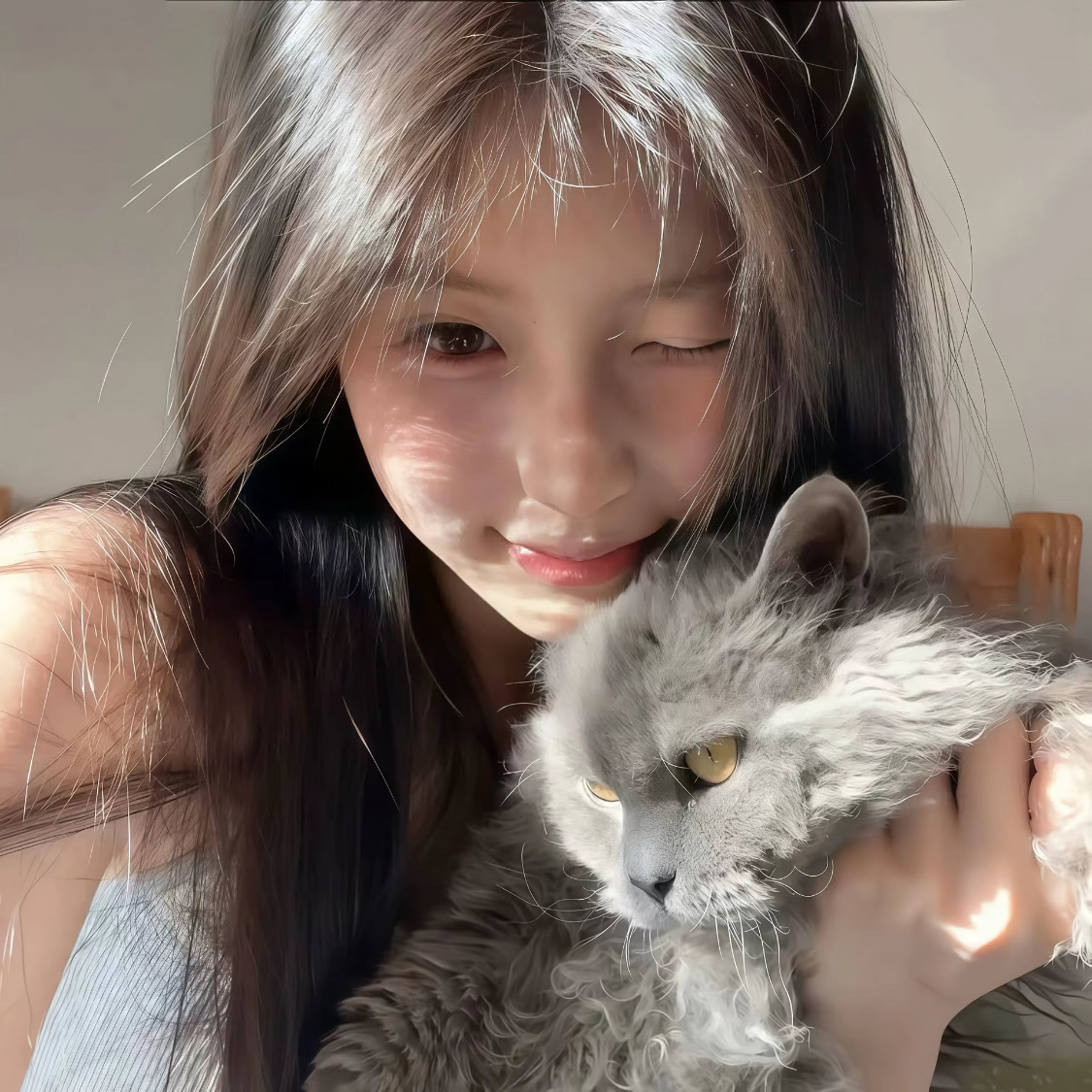 墨爾本金色陽光房轉租1b1b～超絕光線