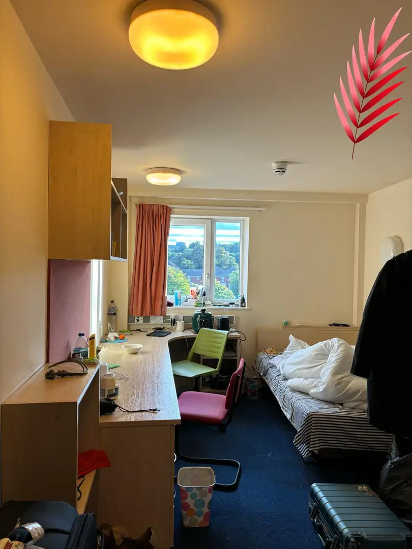 伯明罕｜轉一間帶洗烘的studio！