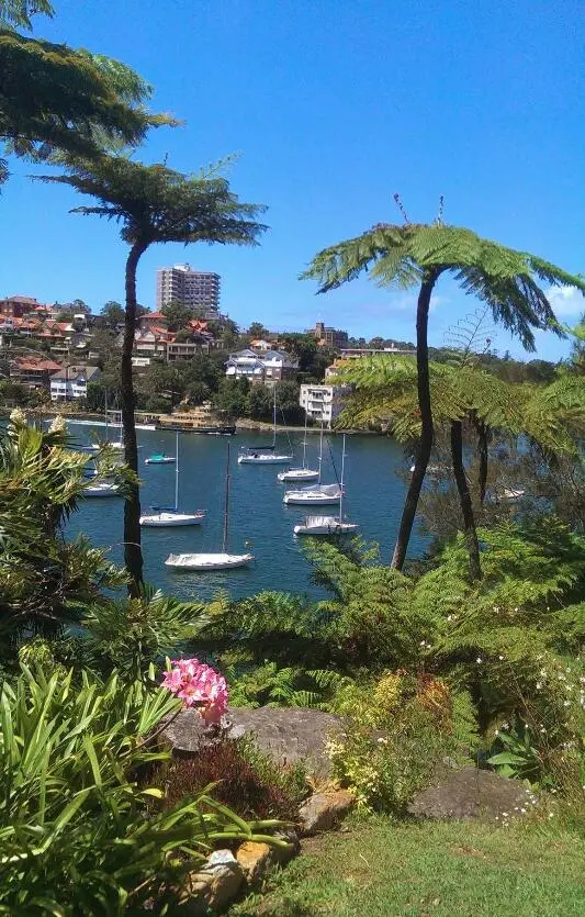 春和景明，會反覆愛上南半球的春天🇦🇺