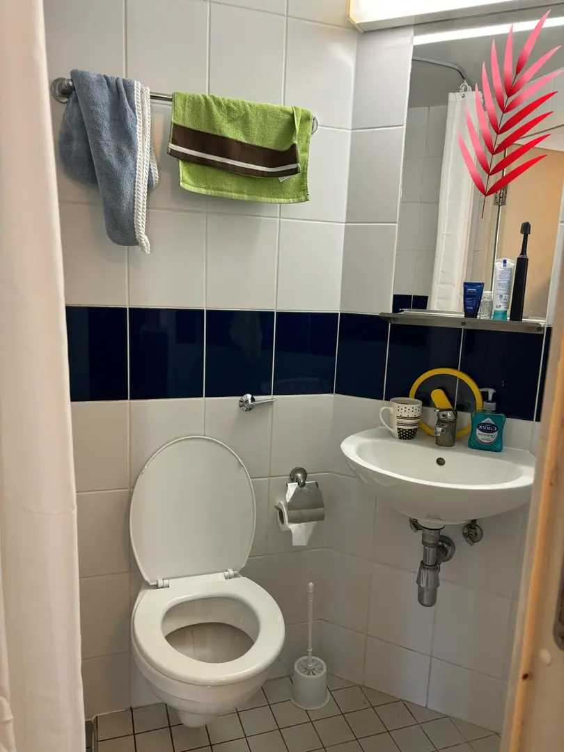 伯明罕｜轉一間帶洗烘的studio！