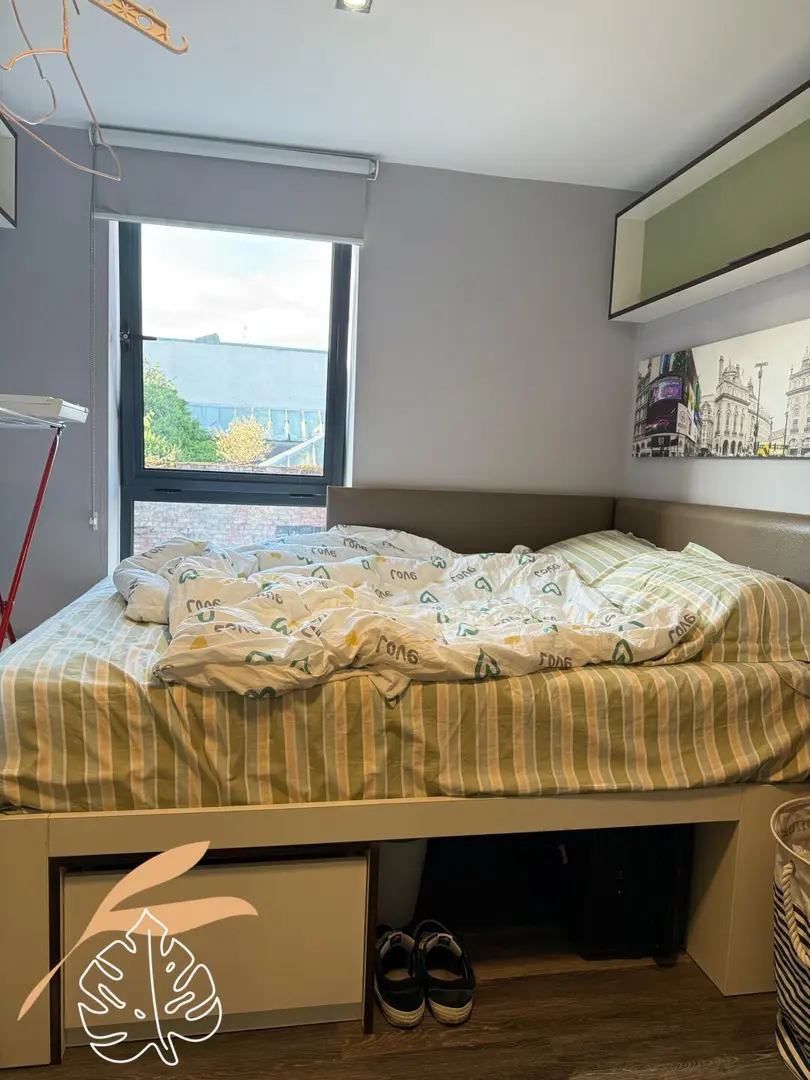 利茲正課轉租｜169胖住studio包早餐！