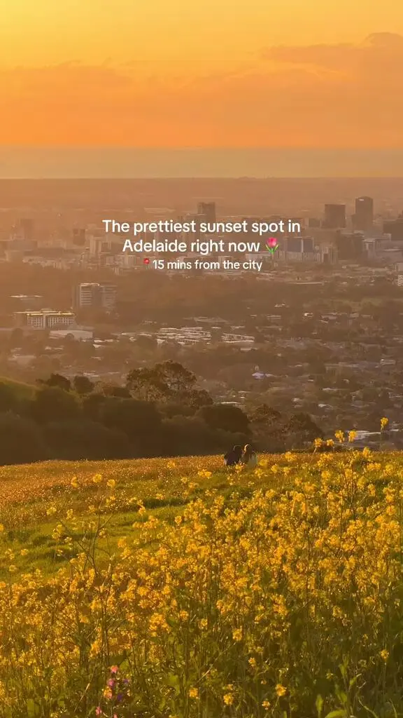 Adelaide的最美日落🌄