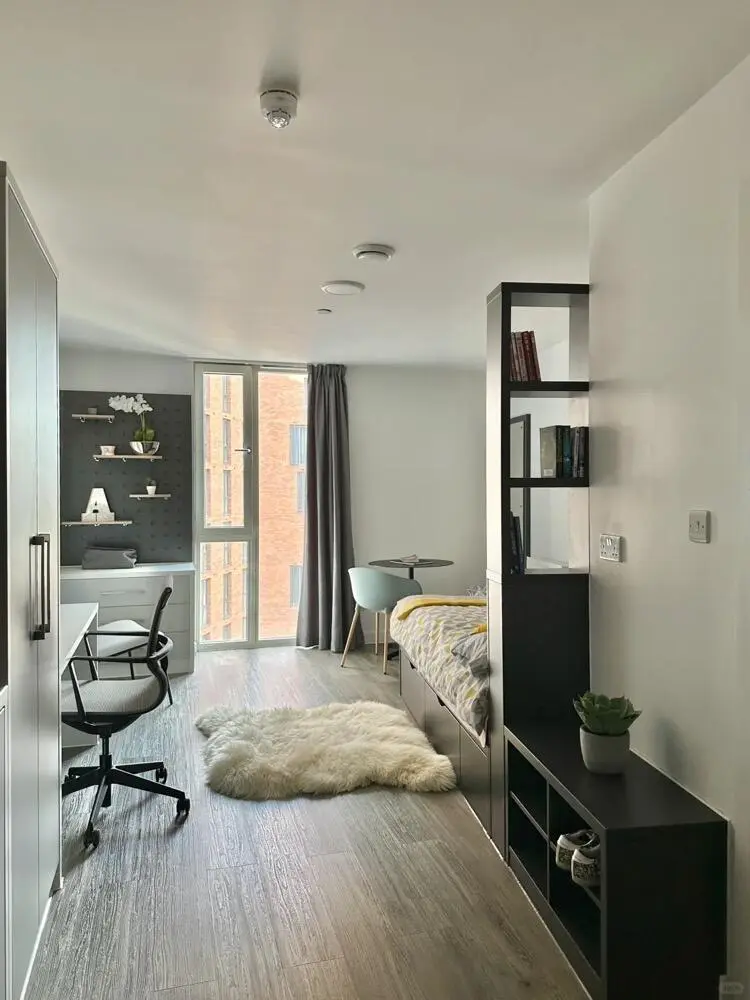 急！倫敦UCL便宜➗studio，包bill骨折價