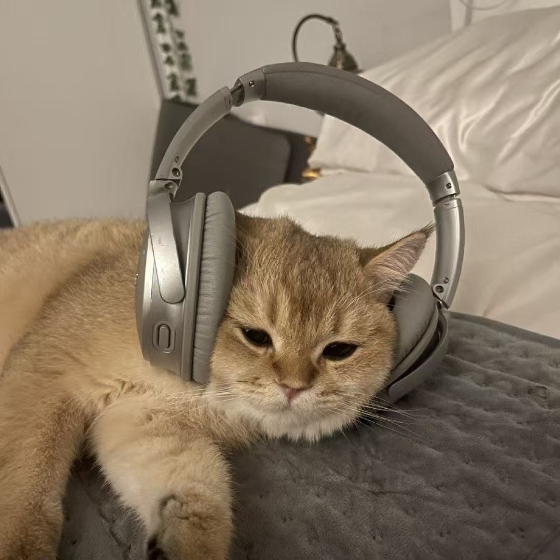 墨爾本超大studio急出｜陽台火鍋自由