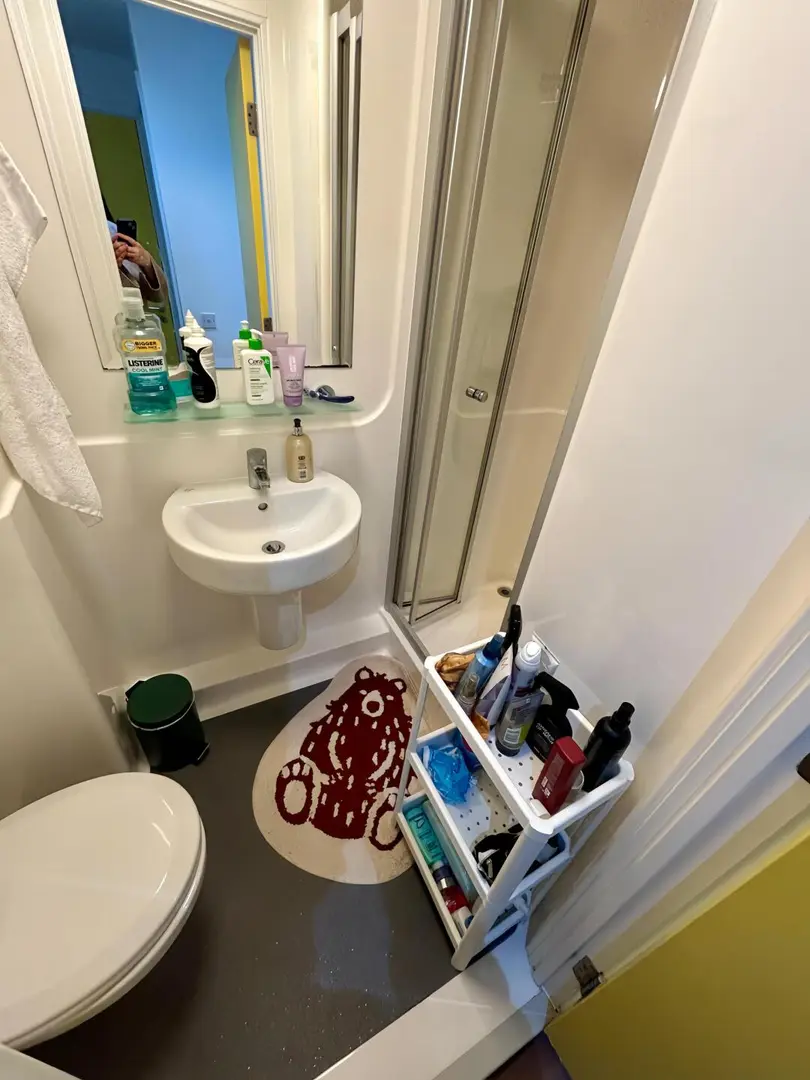 🔥🔥倫敦轉租高性價比大落地窗ensuite