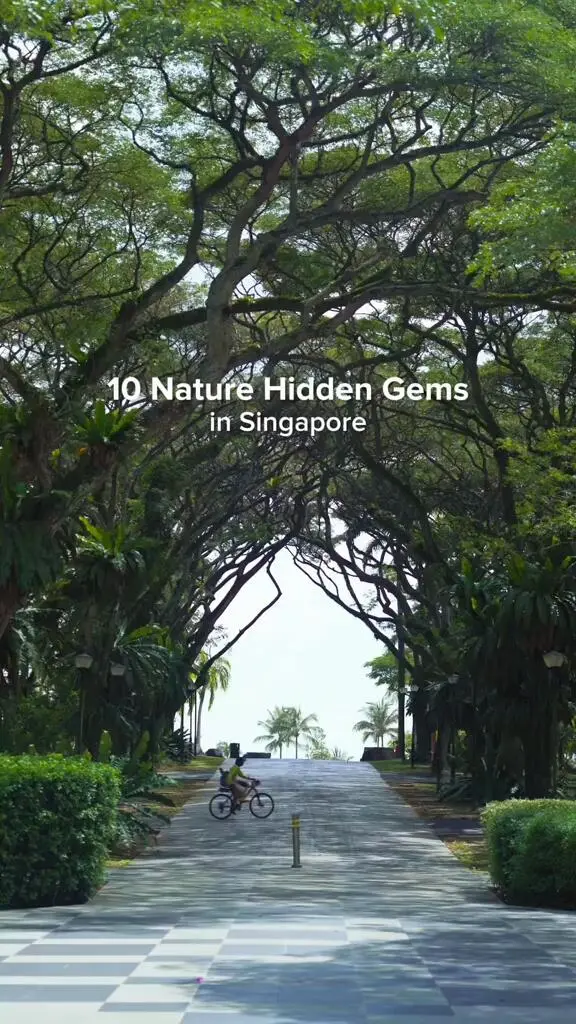 🇸🇬應該參觀的十大新加坡自然隱藏寶石