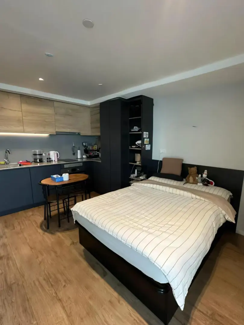 布里斯托 studio 低價出！步行900米到布大