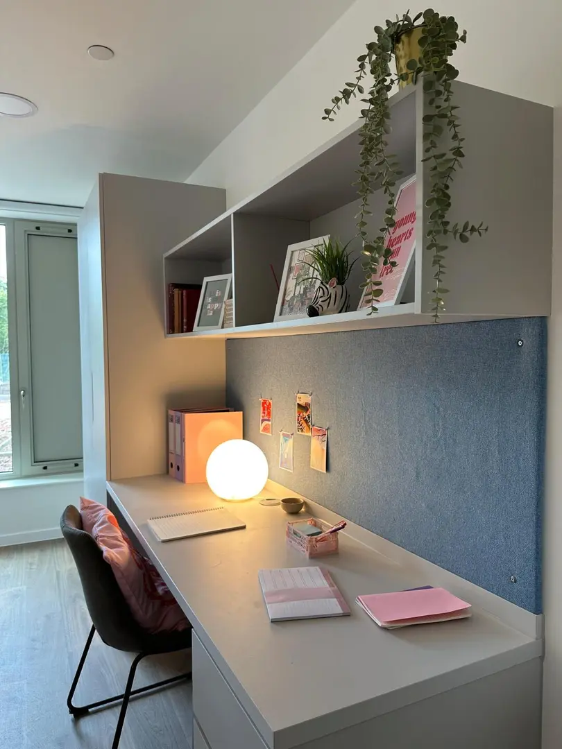 26s1轉租studio｜新公寓環境很好